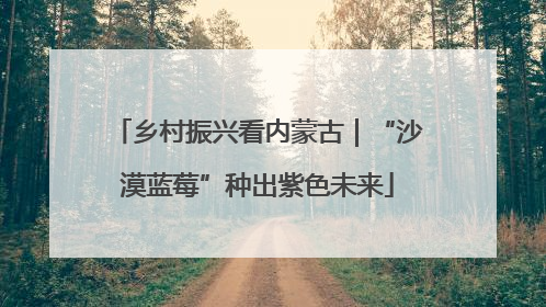 乡村振兴看内蒙古｜“沙漠蓝莓”种出紫色未来