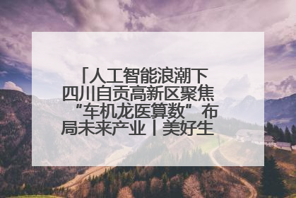 人工智能浪潮下 四川自贡高新区聚焦“车机龙医算数”布局未来产业丨美好生活有“盐”味