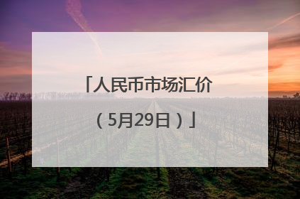 人民币市场汇价（5月29日）