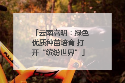 云南嵩明：绿色优质种苗培育 打开“缤纷世界”