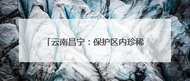 云南昌宁：保护区内珍稀野生动物频频“出镜”