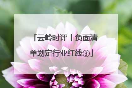 云岭时评丨负面清单划定行业红线③