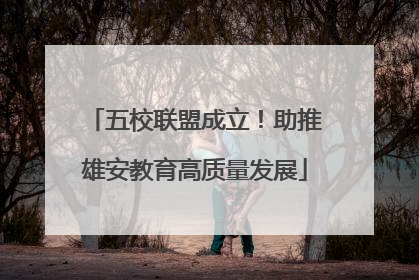 五校联盟成立！助推雄安教育高质量发展
