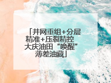 井网重组+分层精准+压裂精控 大庆油田“唤醒”薄差油藏