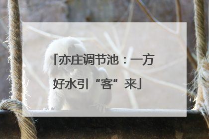 亦庄调节池：一方好水引“客”来