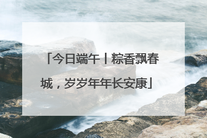 今日端午丨粽香飘春城，岁岁年年长安康