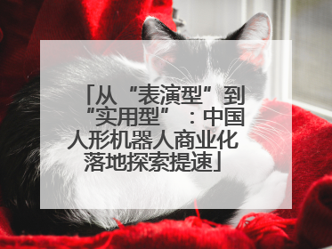 从“表演型”到“实用型”：中国人形机器人商业化落地探索提速