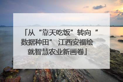 从“靠天吃饭”转向“数据种田” 江西安福绘就智慧农业新画卷