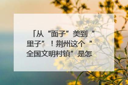 从“面子”美到“里子”！荆州这个“全国文明村镇”是怎样炼成的？