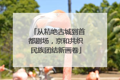 从精绝古城到首都剧场，京和共织民族团结新画卷