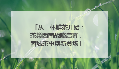 从一杯鲜茶开始：茶巢西南战略启幕，蓉城茶事焕新登场