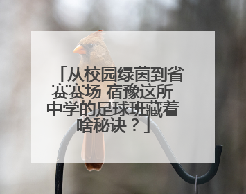 从校园绿茵到省赛赛场 宿豫这所中学的足球班藏着啥秘诀？