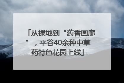 从裸地到“药香画廊”，平谷40余种中草药特色花园上线