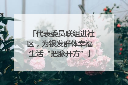 代表委员联组进社区，为银发群体幸福生活“把脉开方”