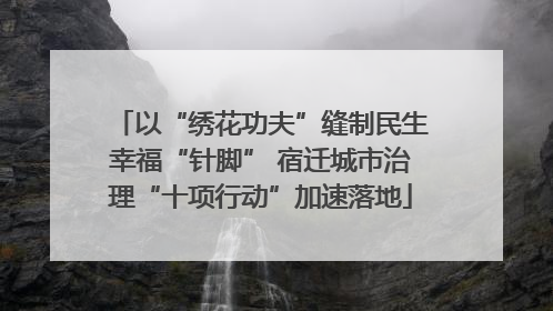 以“绣花功夫”缝制民生幸福“针脚” 宿迁城市治理“十项行动”加速落地
