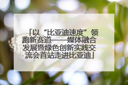 以“比亚迪速度”领跑新赛道——媒体融合发展暨绿色创新实践交流会首站走进比亚迪