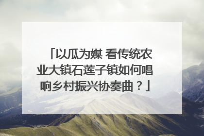 以瓜为媒 看传统农业大镇石莲子镇如何唱响乡村振兴协奏曲？