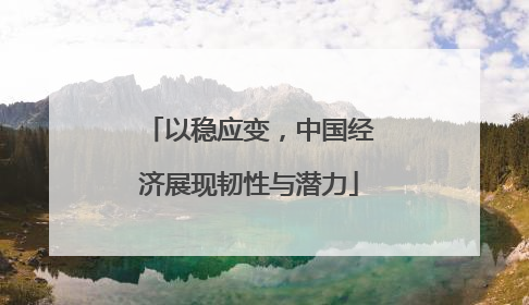 以稳应变，中国经济展现韧性与潜力