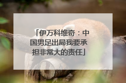 伊万科维奇：中国男足出局我要承担非常大的责任