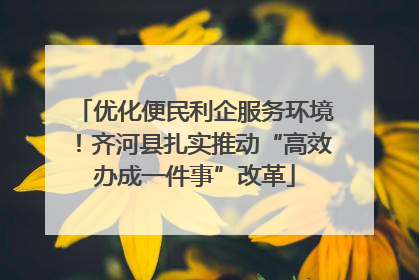优化便民利企服务环境！齐河县扎实推动“高效办成一件事”改革
