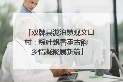 双牌县泷泊镇观文口村：粽叶飘香承古韵 乡情凝聚展新篇