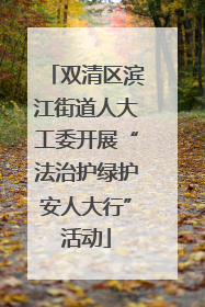 双清区滨江街道人大工委开展“法治护绿护安人大行”活动
