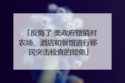 反悔了 美政府撤销对农场、酒店和餐馆进行移民突击检查的豁免