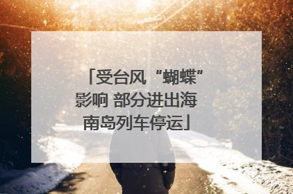 受台风“蝴蝶”影响 部分进出海南岛列车停运