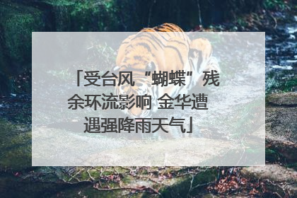 受台风“蝴蝶”残余环流影响 金华遭遇强降雨天气