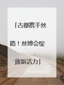 古都携手丝路！丝博会绽放新活力