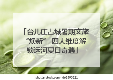 台儿庄古城暑期文旅“焕新” 四大维度解锁运河夏日奇遇