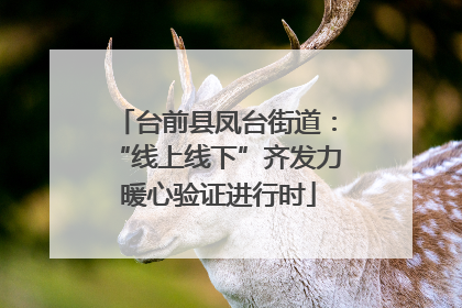 台前县凤台街道：“线上线下”齐发力 暖心验证进行时