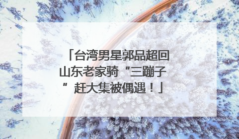 台湾男星郭品超回山东老家骑“三蹦子”赶大集被偶遇！