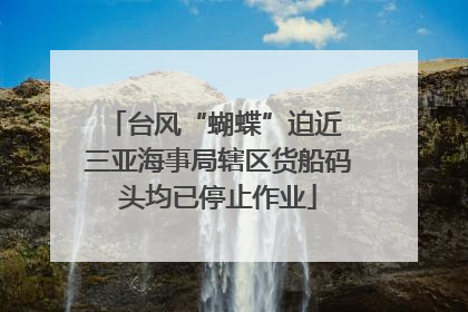 台风“蝴蝶”迫近 三亚海事局辖区货船码头均已停止作业