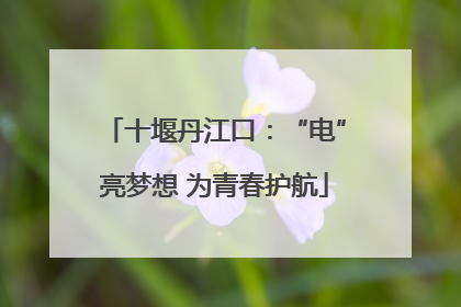 十堰丹江口：“电”亮梦想 为青春护航