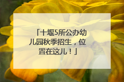 十堰5所公办幼儿园秋季招生，位置在这儿！