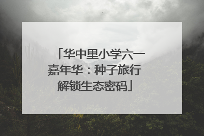 华中里小学六一嘉年华：种子旅行解锁生态密码