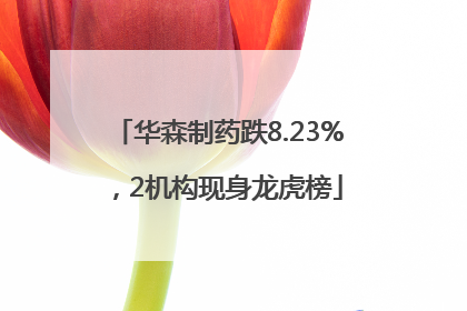 华森制药跌8.23%，2机构现身龙虎榜