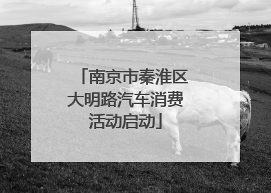 南京市秦淮区大明路汽车消费活动启动