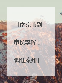 南京市副市长李晖，调任泰州