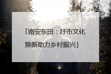 南安东田：圩市文化焕新助力乡村振兴