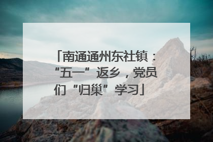 南通通州东社镇：“五一”返乡，党员们“归巢”学习