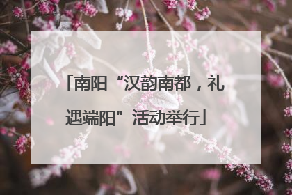 南阳“汉韵南都，礼遇端阳”活动举行