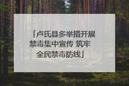 卢氏县多举措开展禁毒集中宣传 筑牢全民禁毒防线