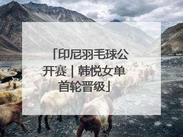 印尼羽毛球公开赛｜韩悦女单首轮晋级