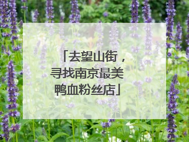 去望山街，寻找南京最美鸭血粉丝店