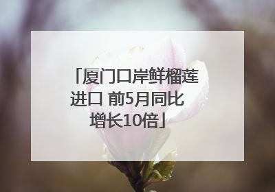 厦门口岸鲜榴莲进口 前5月同比增长10倍