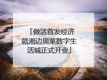 做活首发经济 赣湘边奥莱数字生活城正式开业