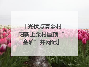 光伏点亮乡村 阳新上余村屋顶“金矿”并网记