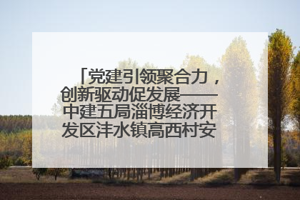 党建引领聚合力，创新驱动促发展——中建五局淄博经济开发区沣水镇高西村安置项目建设纪实